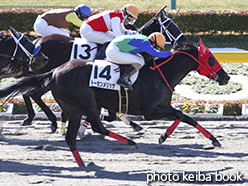 カラープリント(アルミ枠なし)2015年2月14日東京1R 3歳未勝利(トーセンメリッサ)