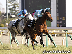 カラーパネル2015年2月14日東京9R テレビ山梨杯(キミノナハセンター)