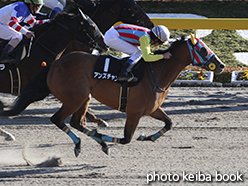 カラープリント(アルミ枠なし)2015年2月14日東京10R 銀蹄ステークス(アンズチャン)