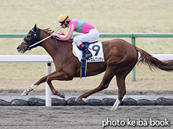 カラープリント(アルミ枠付き)2015年2月15日京都3R 3歳500万下(テイエムグンカン)