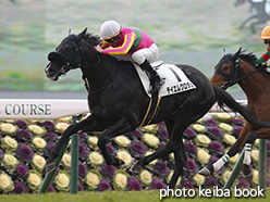 カラーパネル2015年2月15日京都5R 3歳未勝利(テイエムクロタカ)