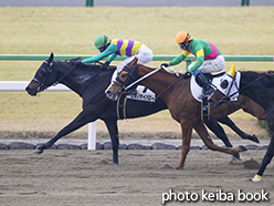 カラーパネル2015年2月15日京都7R 4歳上500万下(ヒルノデイバロー)