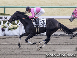 カラープリント(アルミ枠なし)2015年2月15日京都12R 4歳上1000万下(サクラエール)