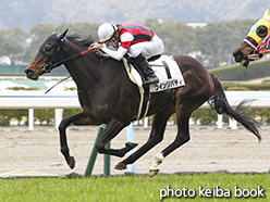 カラーパネル2015年2月15日小倉8R 4歳上500万下(ウインリバティ)