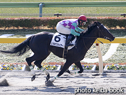 カラープリント(アルミ枠付き)2015年2月15日東京2R 3歳新馬(ヒラボクカイザー)