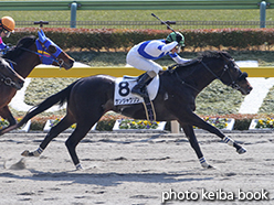カラープリント(アルミ枠なし)2015年2月15日東京5R 3歳新馬(サンジャクソン)