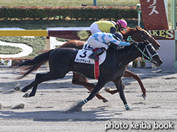 カラープリント(アルミ枠なし)2015年2月15日東京7R 4歳上500万下(ポンデザムール)