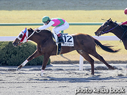 カラープリント(アルミ枠なし)2015年2月21日京都1R 3歳未勝利(サウスリバティー)