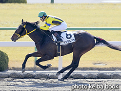 カラーパネル2015年2月21日京都2R 3歳未勝利(キングルアウ)