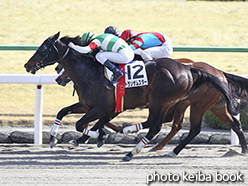 カラーパネル2015年2月21日京都8R 4歳上500万下(トランザムスター)