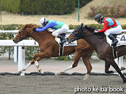 カラープリント(アルミ枠なし)2015年2月21日小倉1R 3歳未勝利(トーセンラブリー)