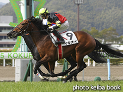 カラープリント(アルミ枠なし)2015年2月21日小倉3R 3歳未勝利(イキオイ)