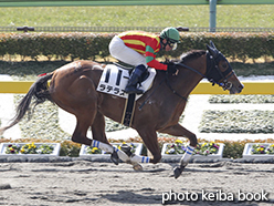 カラーパネル2015年2月21日東京1R 3歳未勝利(ラテラス)