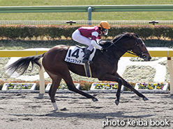 カラープリント(アルミ枠なし)2015年2月21日東京3R 3歳新馬(プラニスフィア)