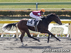 カラーパネル2015年2月21日東京3R 3歳新馬(プラニスフィア)