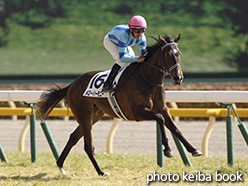 カラープリント(アルミ枠なし)2015年2月21日東京5R 3歳未勝利(メローハーモニー)