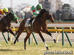 カラーパネル2015年2月21日東京6R 3歳500万下(シンボリタピット)