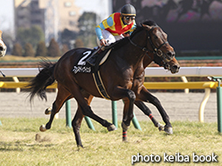 カラープリント(アルミ枠付き)2015年2月21日東京9R 調布特別(フェスティヴイェル)