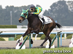 カラープリント(アルミ枠付き)2015年2月22日京都6R 3歳新馬(サトノフラリッシュ)