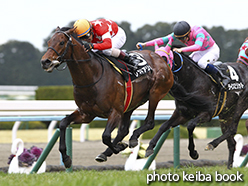 カラープリント(アルミ枠なし)2015年2月22日京都11R 洛陽ステークス(レッドアリオン)