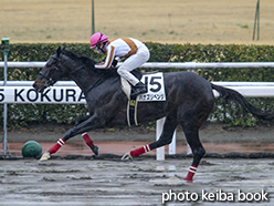 カラープリント(アルミ枠なし)2015年2月22日小倉2R 4歳上500万下(ハナズリベンジ)