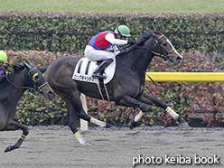 カラープリント(アルミ枠付き)2015年2月22日東京1R 3歳未勝利(ロックキャンディ)