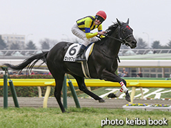 カラープリント(アルミ枠付き)2015年2月22日東京5R 3歳新馬(ロッカフェスタ)