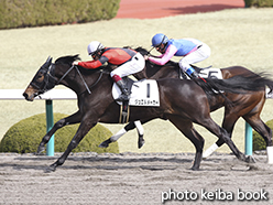 カラーパネル2015年2月28日阪神2R 3歳未勝利(ジュエルメーカー)