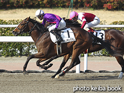 カラーパネル2015年2月28日小倉1R 3歳未勝利(カシノキングダム)