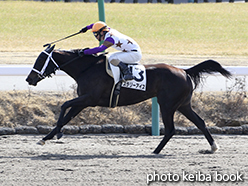 カラーパネル2015年2月28日中山1R 3歳未勝利(スラリーアイス)