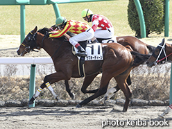 カラーパネル2015年2月28日中山3R 3歳未勝利(ラブオーディーン)