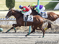 カラープリント(アルミ枠なし)2015年2月28日中山4R 障害未勝利(マイネルミランダス)