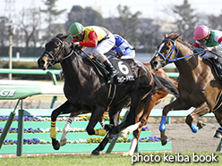 カラーパネル2015年2月28日中山9R 水仙賞(フォワードカフェ)