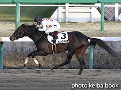 カラープリント(アルミ枠付き)2015年2月28日中山12R 4歳上1000万下(モンテネオ)