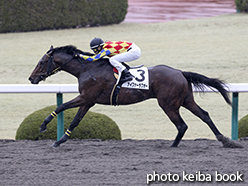 カラープリント(アルミ枠なし)2015年3月1日阪神2R 3歳未勝利(アイファーラブオー)