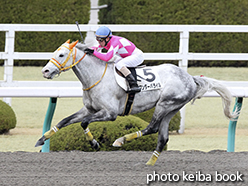 カラープリント(アルミ枠なし)2015年3月1日阪神4R 障害未勝利(ワンダーバライル)