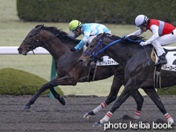 カラーパネル2015年3月1日阪神8R 4歳上500万下(エンドレスシャイン)