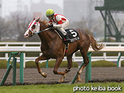 カラープリント(アルミ枠付き)2015年3月1日阪神9R すみれステークス(スピリッツミノル)