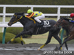 カラーパネル2015年3月1日阪神10R 伊丹ステークス(マスクゾロ)