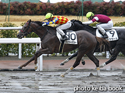 カラーパネル2015年3月1日小倉2R 3歳未勝利(アイファーマグオー)