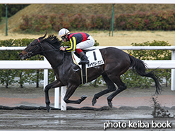 カラーパネル2015年3月1日小倉5R 4歳上500万下(ギャラクシーエクス)