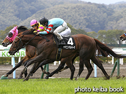 カラープリント(アルミ枠付き)2015年3月1日小倉12R 周防灘特別(ヤマニンマルキーザ)