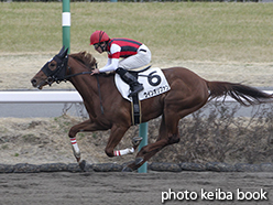 カラープリント(アルミ枠付き)2015年3月1日中山2R 3歳未勝利(ウインオリファン)