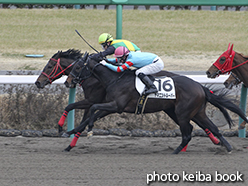 カラープリント(アルミ枠なし)2015年3月1日中山3R 3歳新馬(キングアンドクイン)