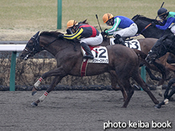 カラープリント(アルミ枠付き)2015年3月1日中山8R 4歳上500万下(メジャーステップ)