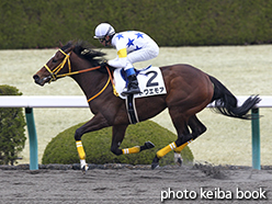 カラープリント(アルミ枠なし)2015年3月7日阪神1R 3歳未勝利(トワエモア)