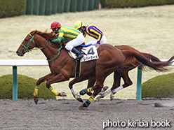 カラーパネル2015年3月7日阪神4R 障害未勝利(リバータイキ)