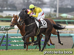 カラープリント(アルミ枠なし)2015年3月7日中山5R 3歳未勝利(ゴージャスガール)