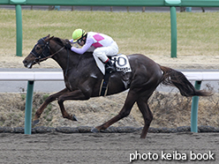 カラープリント(アルミ枠なし)2015年3月7日中山7R 4歳上500万下(ヴェアリアスサマー)