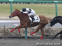 カラープリント(アルミ枠付き)2015年3月7日中山8R 4歳上1000万下(マユキ)